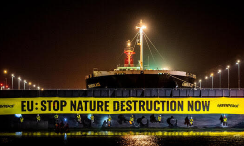 Greenpeace bloquea buque de soja en el puerto de Ámsterdam – ES