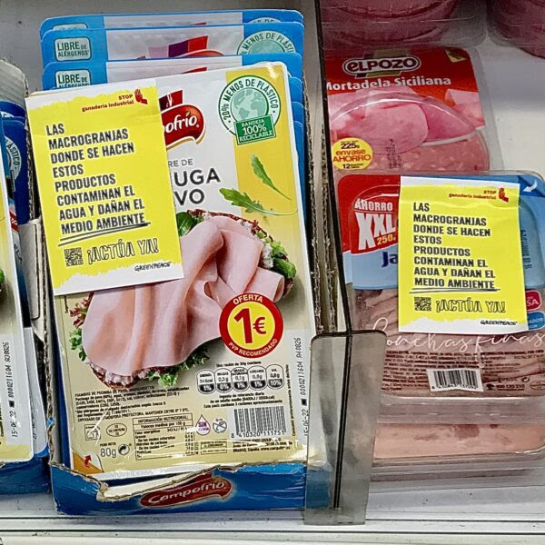 Greenpeace “etiqueta” los productos de carne industrial de los supermercados, advirtiendo de su enorme impacto – ES