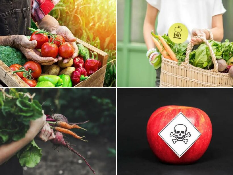 Diferencia entre Alimentos Orgánicos y Alimentos inorgánicos + Ejemplos